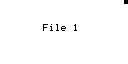 File Changer