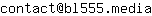 Email address, replace the 【arobase】 with a @ and ▶ with a . : contact【arobase】bl555▶media